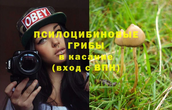 синтетический гашиш Богородицк