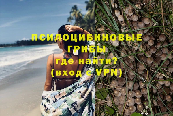 синтетический гашиш Богородицк
