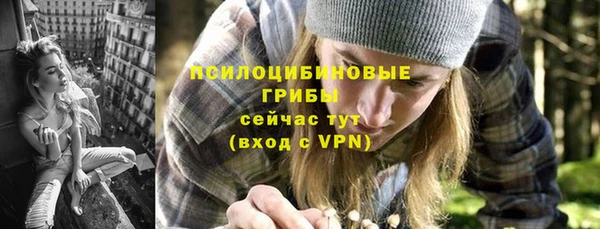синтетический гашиш Богородицк