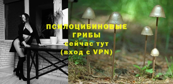 спиды Богданович