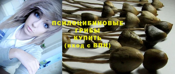 амфетамин Богородск