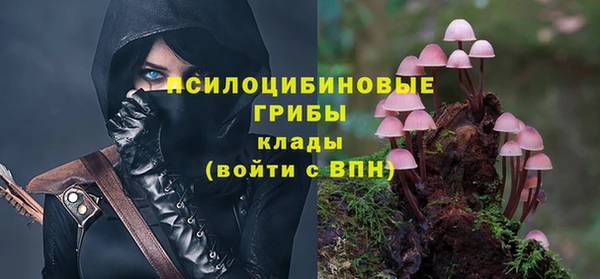 синтетический гашиш Богородицк