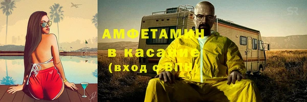 спиды Богданович