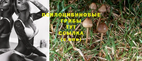 амфетамин Богородск