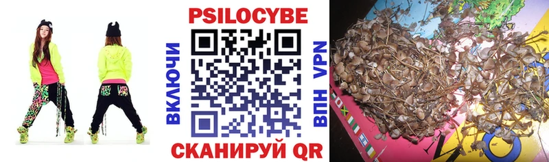 Галлюциногенные грибы GOLDEN TEACHER  Купить закладки  Беломорск 